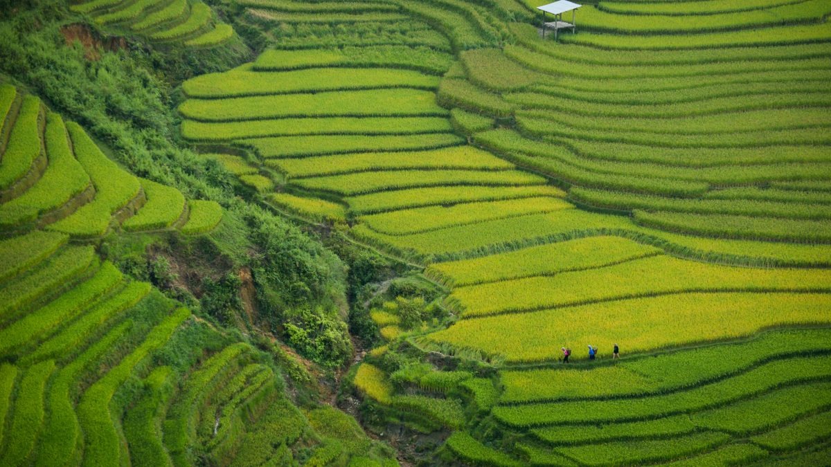 Vietnam School Trip Ideas: Ha Giang