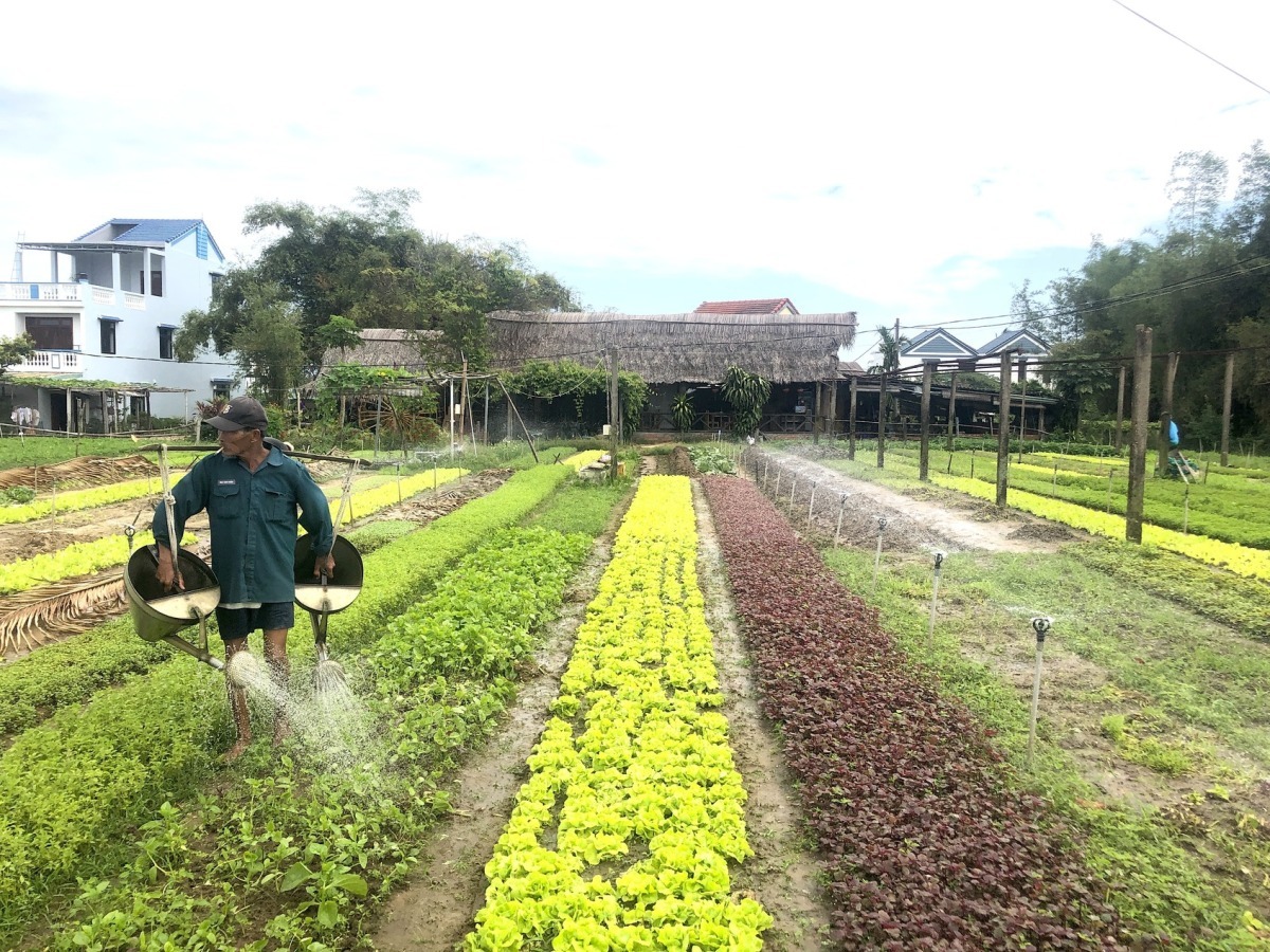 Enhancing Student Experience: A Day of Inclusion and Connection at Tra Que Vegetable Village