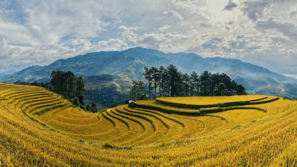 A 10-Day Educational Journey Through Vietnam: Exploring the Richness of Vietnamese Agriculture