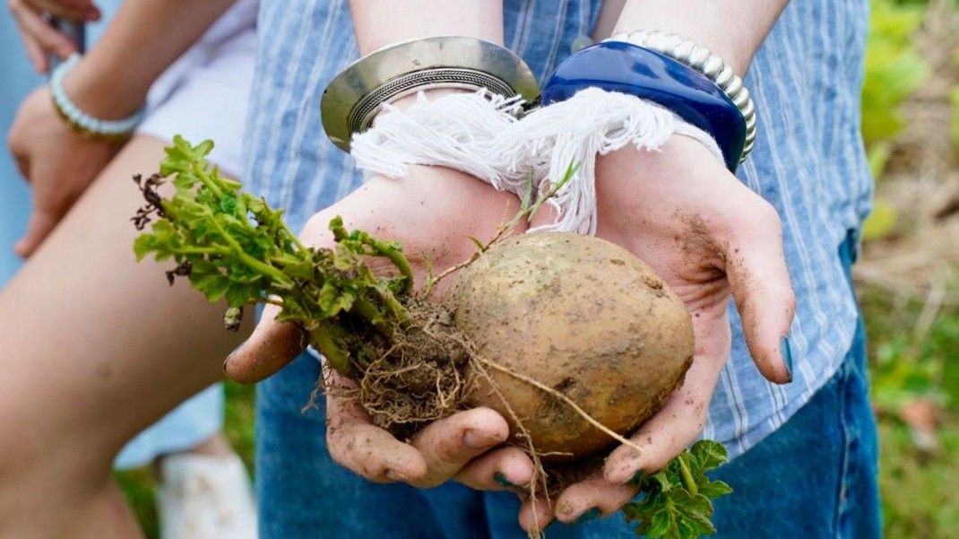 Designing for Attention - for School trips