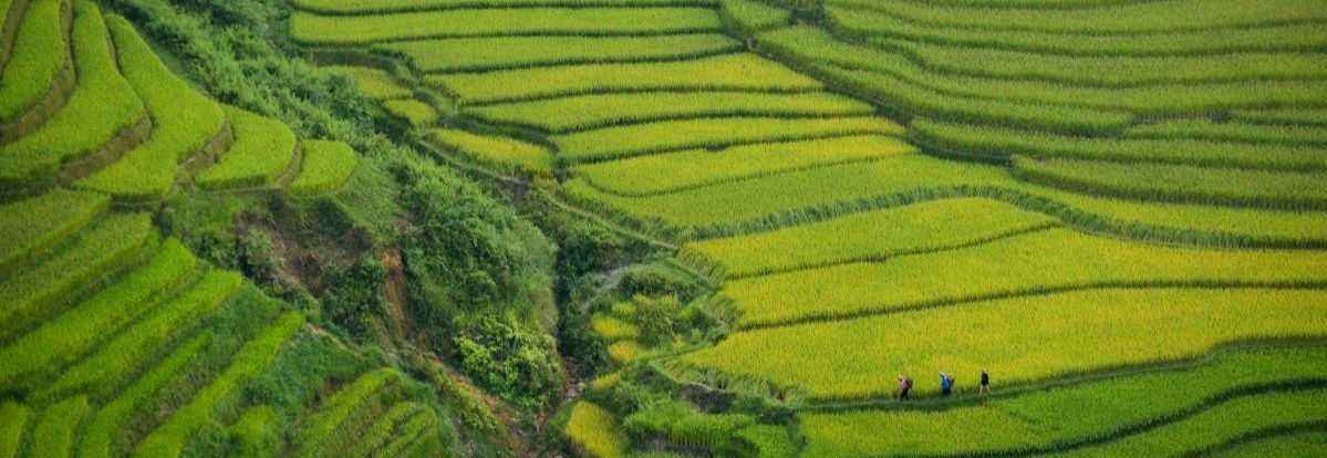 Best destinations for school trips in Vietnam — and what students actually learn in each