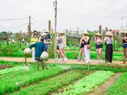 Vietnam through its regional ways of life