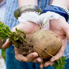 Designing for Attention - for School trips