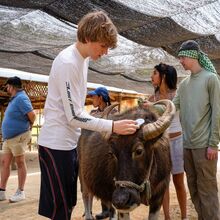 Where student leadership actually shows up — In experiential learning contexts