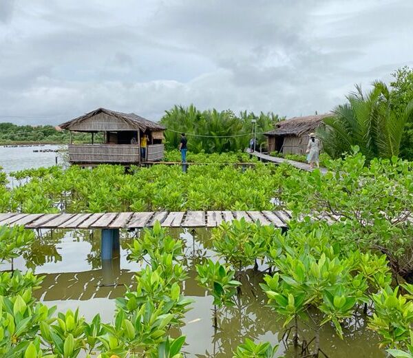 Mekong Delta: Climate Change and Connected Systems