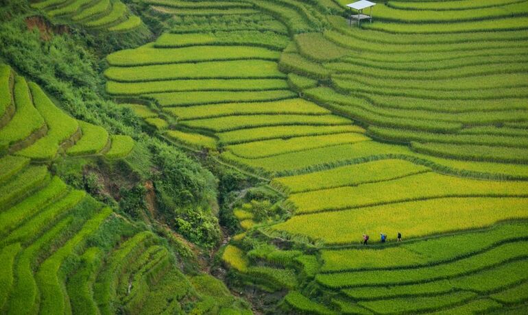 Vietnam School Trip Ideas: Ha Giang