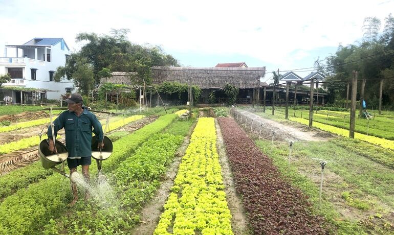 Enhancing Student Experience: A Day of Inclusion and Connection at Tra Que Vegetable Village