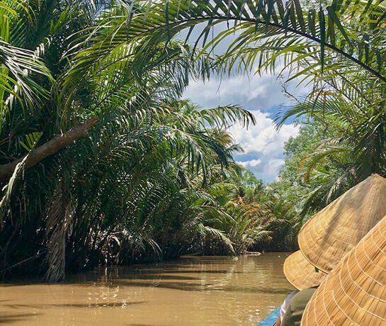 Exploring the Agricultural Riches of Mekong Delta: An Authentic Vietnam Educational Tour Experience