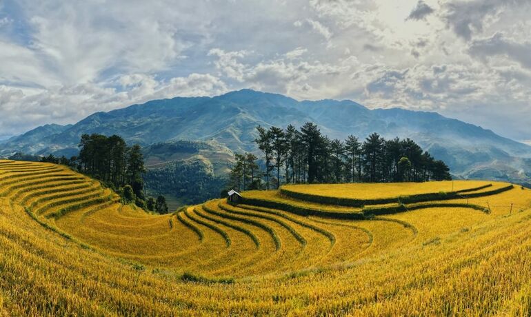 A 10-Day Educational Journey Through Vietnam: Exploring the Richness of Vietnamese Agriculture