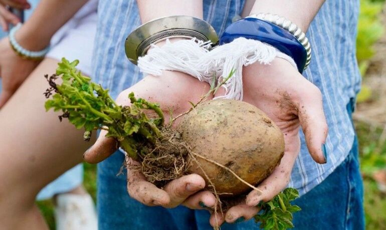 Designing for Attention - for School trips