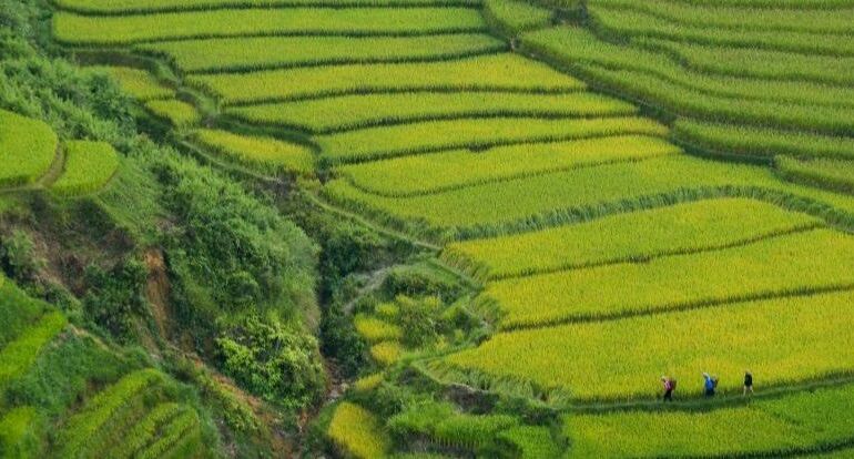 Best destinations for school trips in Vietnam — and what students actually learn in each