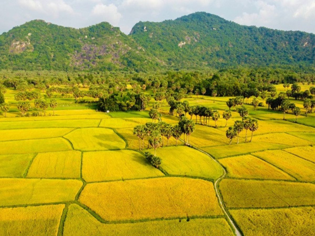 Archaeology and Early State Formation in Vietnam